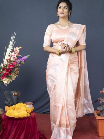 Pure Organza Saree – FashionVibes